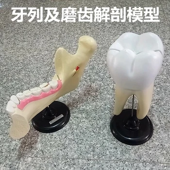Стоматологични ламинати и точильные камъни се използват за увеличаване на зъбен апарат.Безплатна доставка